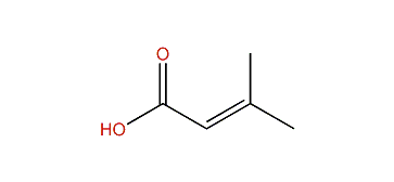 3-Methyl-2-butenoic acid